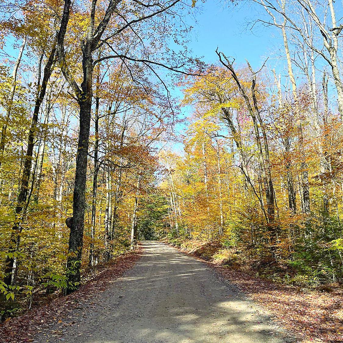 Wheel Family Fun: The window of opportunity to ride is closing fast!